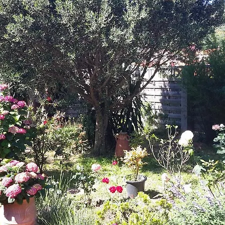 Bed & Breakfast La De Salome Collioure